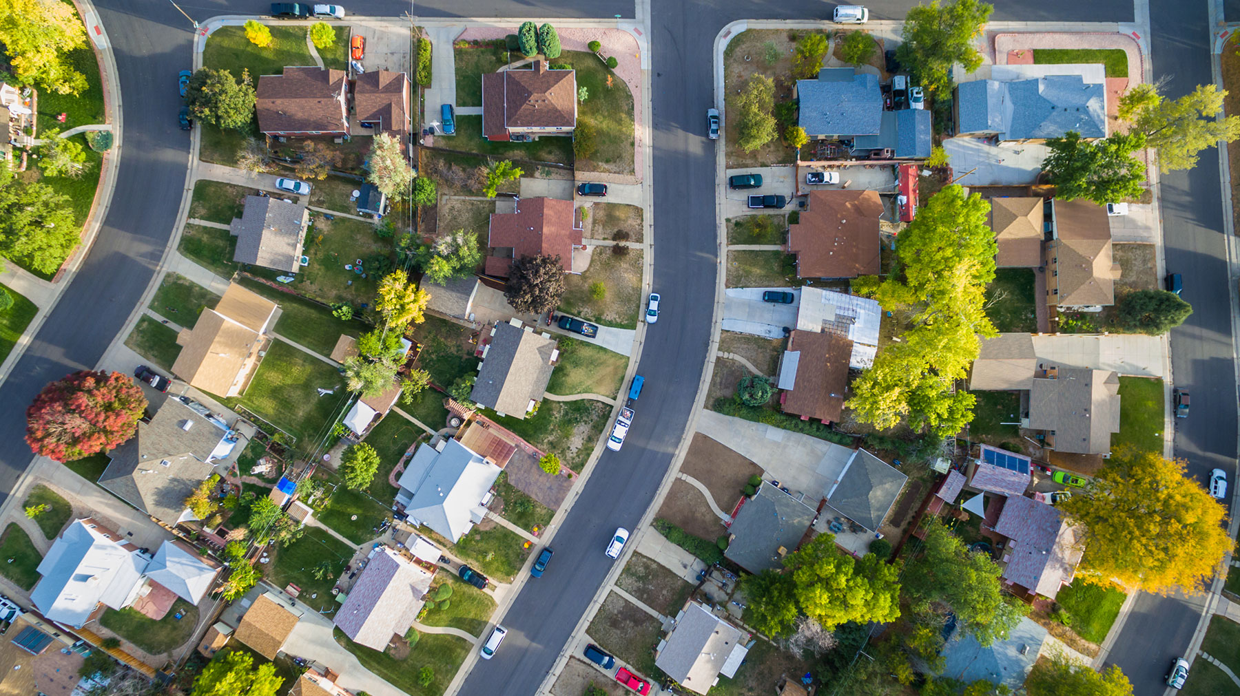 Calico Homeowners Association cover